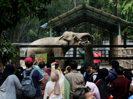  Libur Panjang, Taman Margasatwa Ragunan Dikunjungi 108 Ribu Wisatawan