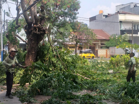 10 Bulan, 7.410 Pohon Telah Dipangkas di Jakbar