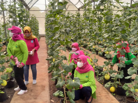 Kader TP PKK Jaktim Studi Banding ke Kebon Bibit Agro Wisata Cilangkap 