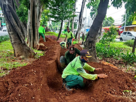 Pembuatan Rain Garden di Tiga Lokasi di Jaktim Hampir Rampung