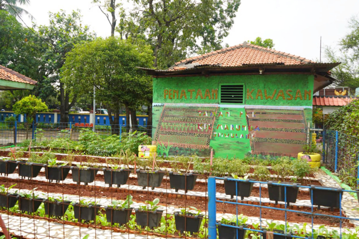 Kelurahan Marunda Sulap Lahan Tidur Jadi Taman Oranye dan Aviary Edukatif