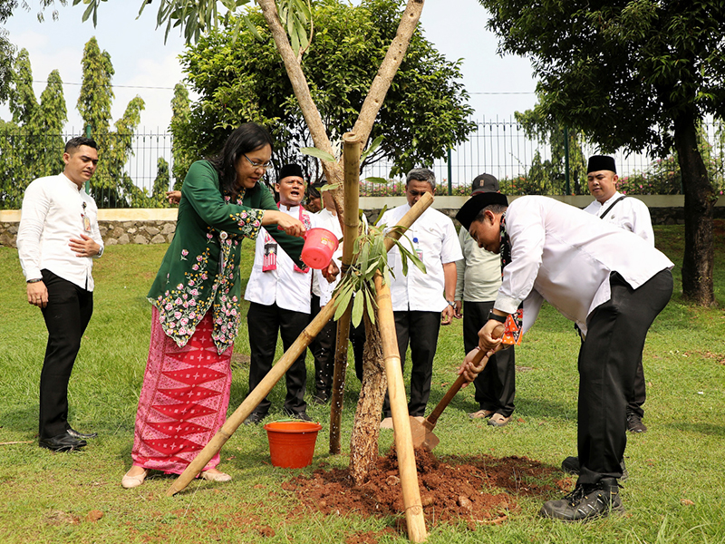  10 Pohon Tabebuya Kuning Ditanam di Taman Viaduk Jatinegara