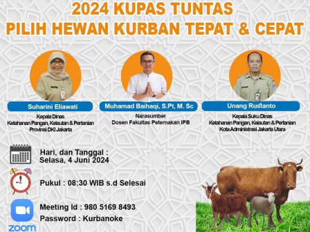 Sudin KPKP Jakut Adakan Webinar Bahas Hewan Kurban