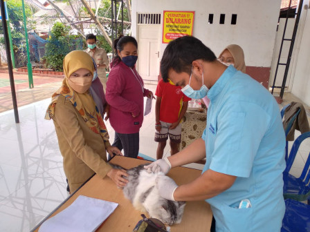  62 Hewan Peliharaan Warga RW 02 Cipmel Divaksin Rabies 