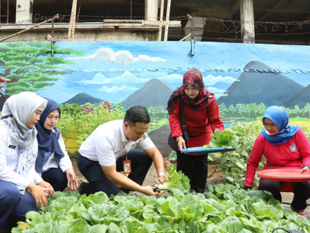 Jajaran Kelurahan Cilandak Barat Panen Sayuran di Lokasi Penataan TW III 
