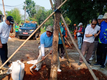  20 Pohon Pelindung Ditanam di Pondok Ranggon