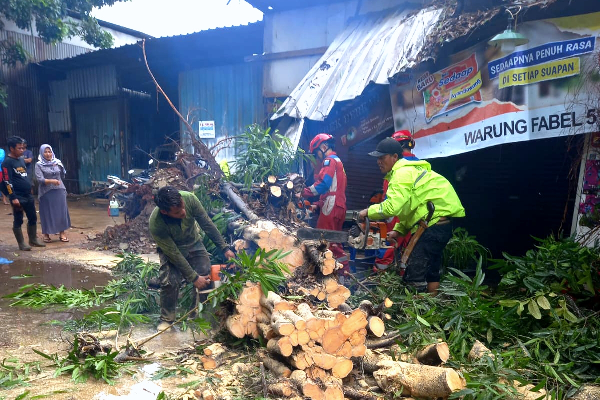 Petugas gabungan mengevakuasi Pohon Tumbang di Penggilingan