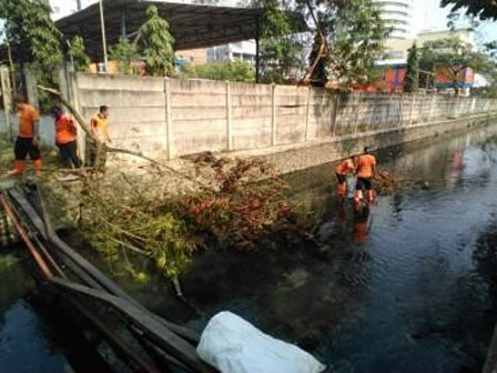  PPSU Gunung Sahari Selatan Bersihkan Pohon Tumbang Di Jalan Angkasa