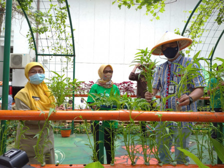  Sudin KPKP Jakpus Gelar Panen Serentak di 31 Lokasi Urban Farming 