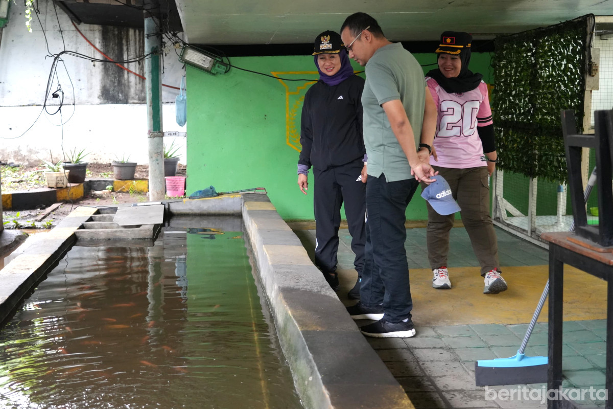 Iin Mutmainnah meninjau persiapan deklarasi Open Defecation Free di Kelurahan Tomang