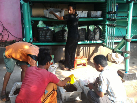 Kurangi Volume Sampah, Sudin Kebersihan Jakut Buat Uji Coba Dengan Cacing