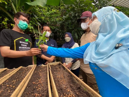 435 Peserta Jakpus Ikuti Tanam Serentak