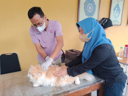 26 HPR di Kelurahan Pulo Divaksinasi Rabies