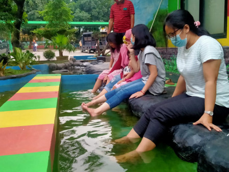 Asyiknya Terapi Ikan di Kantor Kelurahan Ciracas 