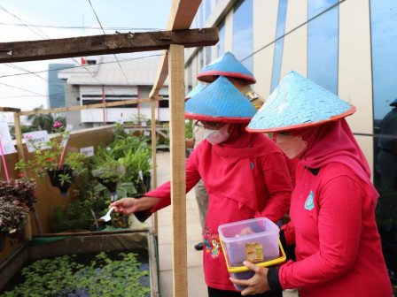 Area Rooftop Kantor Kecamatan Tanjung Priok Dimanfaatkan Urban Farming