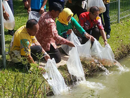  20 Ribu Bibit Ikan Ditebar di Kolam RPTRA Gerbang Sari 