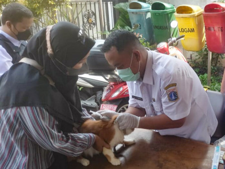 80 HPR Divaksin Rabies di Sukabumi Selatan