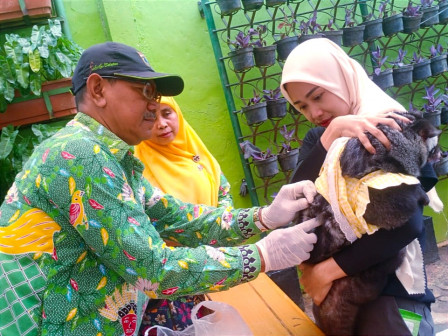 117 HPR Divaksinasi Rabies di Halaman Kantor Kelurahan Mampang Prapatan