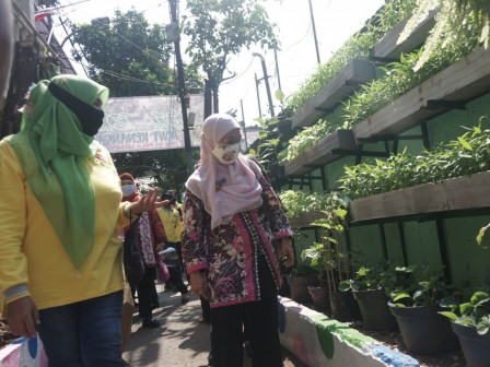 Dinas KPKP Tinjau Lokasi Aktivitas Pertanian Perkotaan di Jakarta Selatan