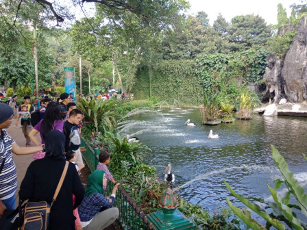 DKI Adakan Sayembara Desain Kawasan Taman Margasatwa Ragunan