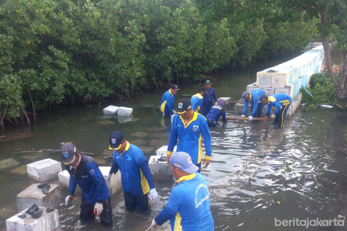 Pembangunan Tanggul di Pulau Harapan Ditargetkan Rampung Desember