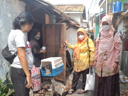  21 Ekor Kucing Liar di Kemayoran Direlokasi 