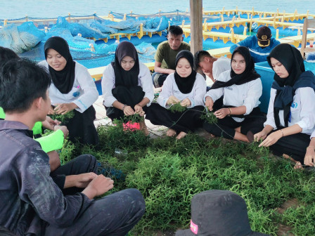 Puluhan Pelajar SMKN 61 Jakarta Diedukasi Budidaya Rumput Lau