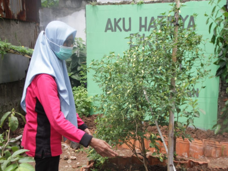 Kelurahan Senayan Miliki Taman Hatinya PKK