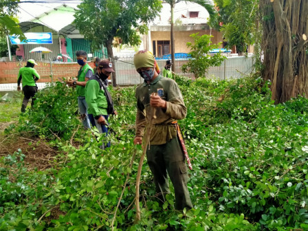 10 Satgas Kehutanan Toping Pohon Beringin di Hutan Kota Makasar 