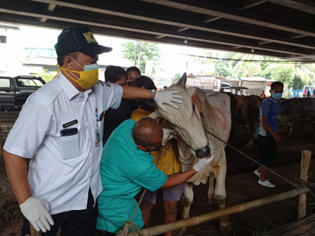 Sudin KPKP Jakut Periksa Kesehatan Hewan Kurban di Wilayah Kecamatan Tanjung Priok