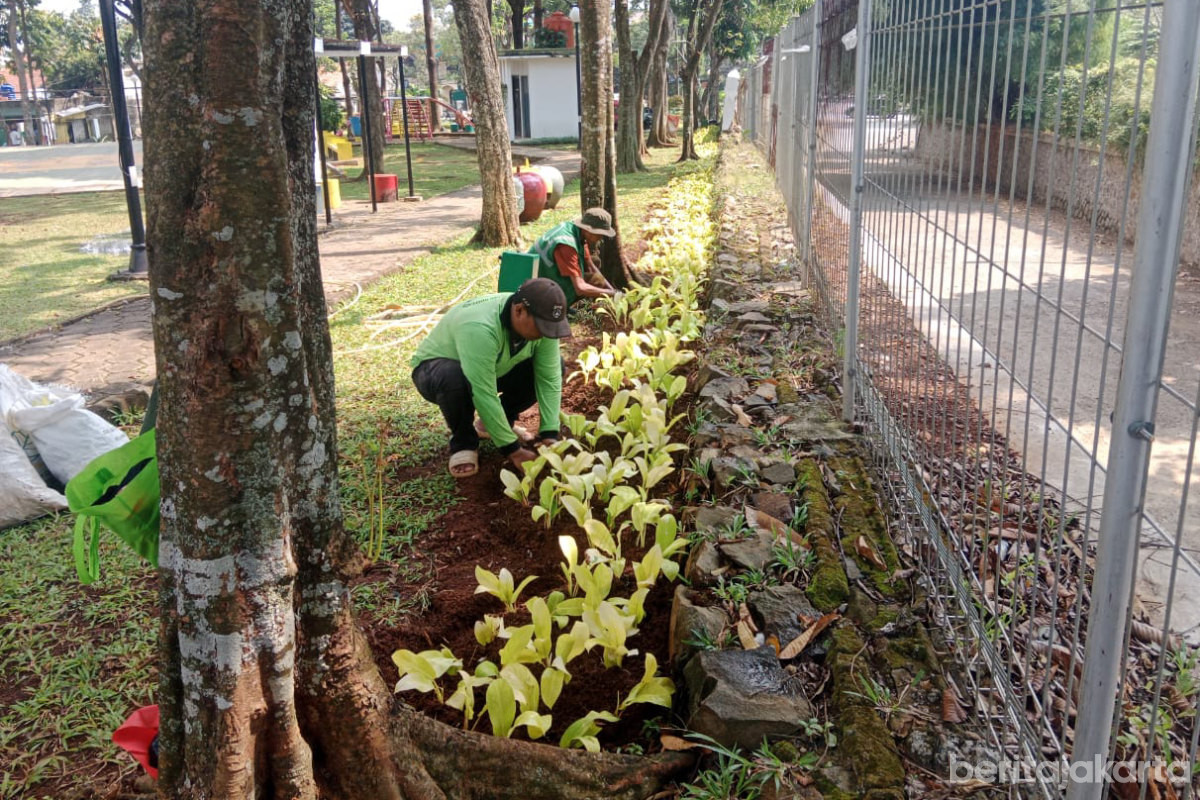 Taman Flamboyan Ditata Ulang 