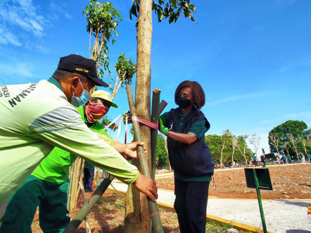  50 Pohon Ditanam di TPU Ceger dan Bambu Apus 