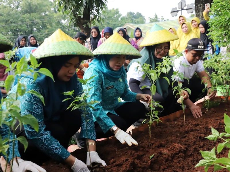 5.000 Tanaman Produktif Ditaman Serentak di Jaksel