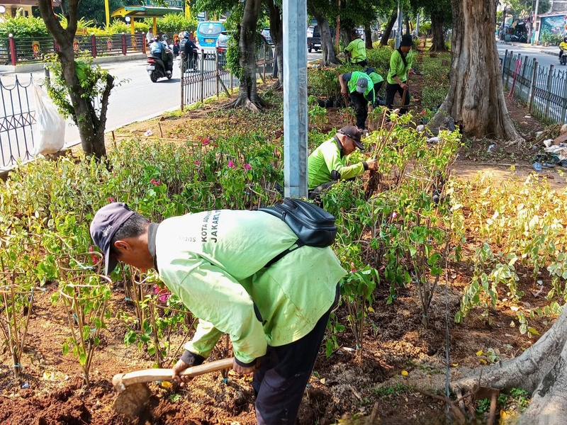 Jelang HUT Kota Jakarta ke 498, Wilayah Jaktim Dipercantik Nurito