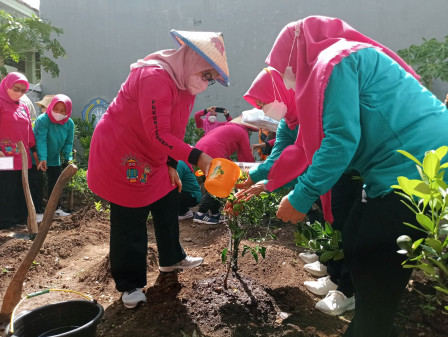 Feri Farhati Tanam 30 Pohon Jeruk Limau di Taman HATINYA PKK Jakarta Utara 
