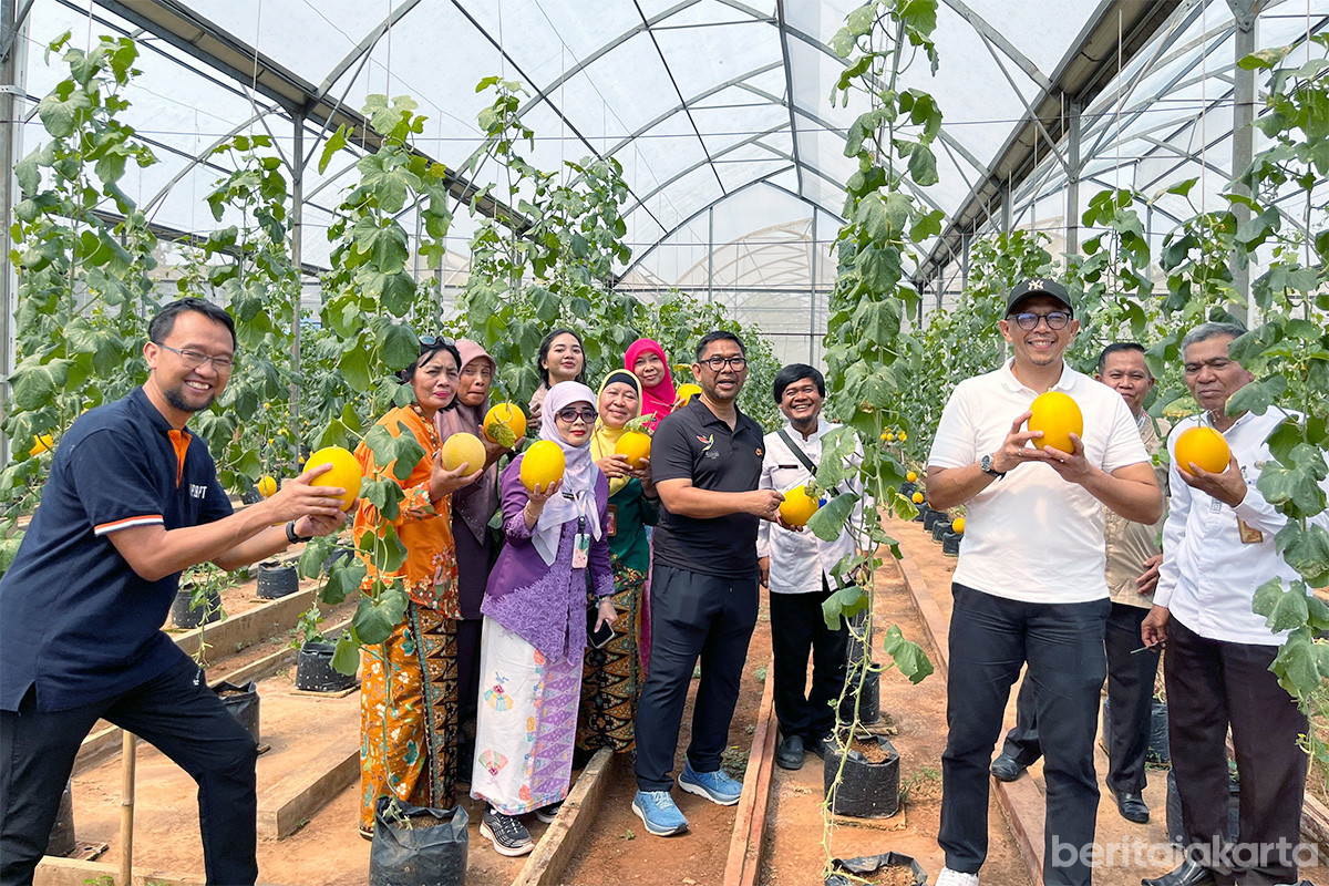 Panen melon di Agro Wisata Cilangkap