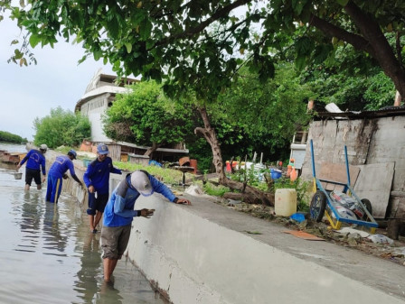 Petugas Lakukan Pemeliharaan Tanggul Pembatas Pantai Pulau Kelapa