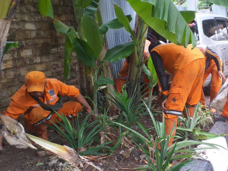 PPSU Kerjabakti Bersihkan Sampah di Jalan Setiabudi Tengah 