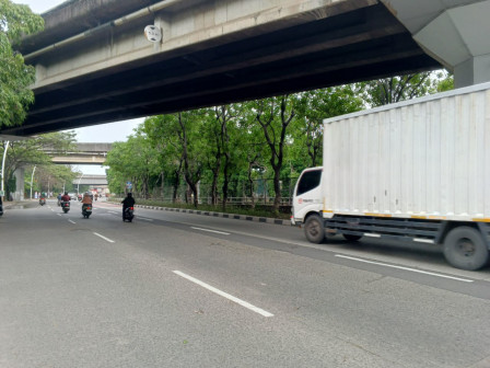 Sudin Tamhut Jakut akan Tata Ulang Jalur Hijau Jalan Yos Sudarso 