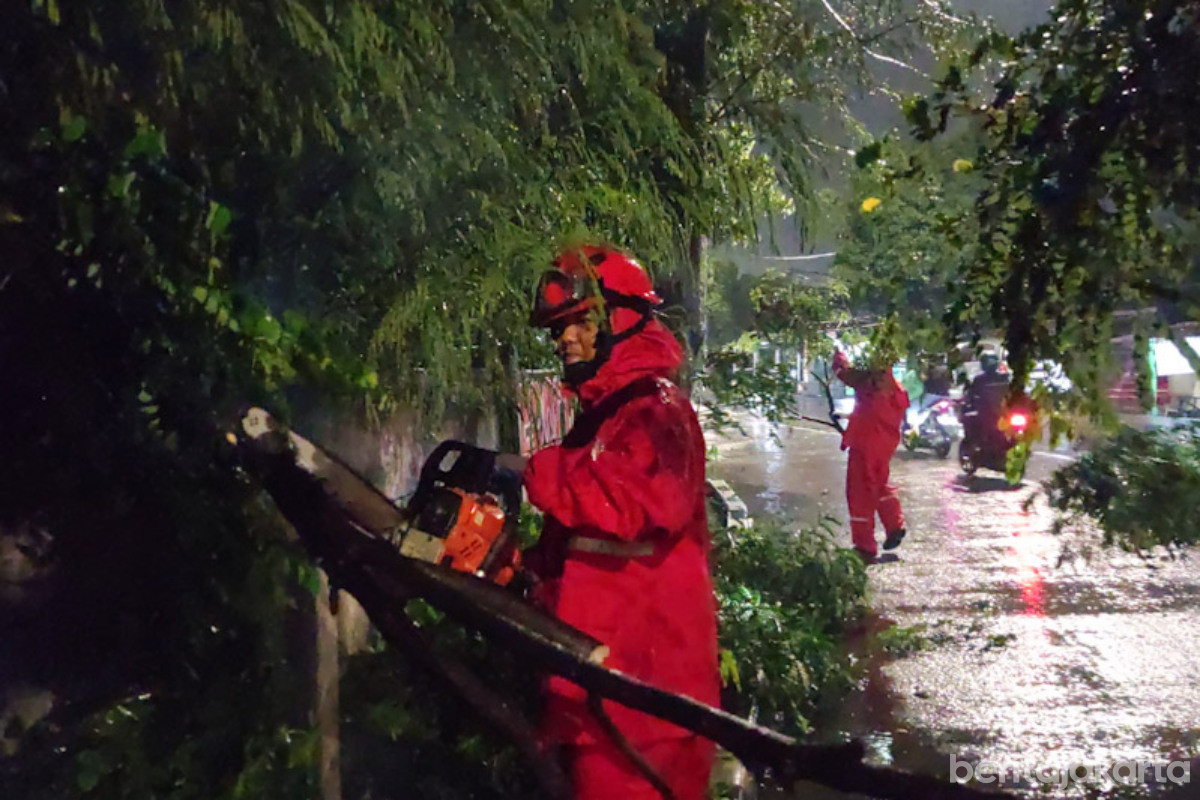 Petugas Gabungan Gercep Selesaikan Evakuasi Pohon Tumbang di Jaksel