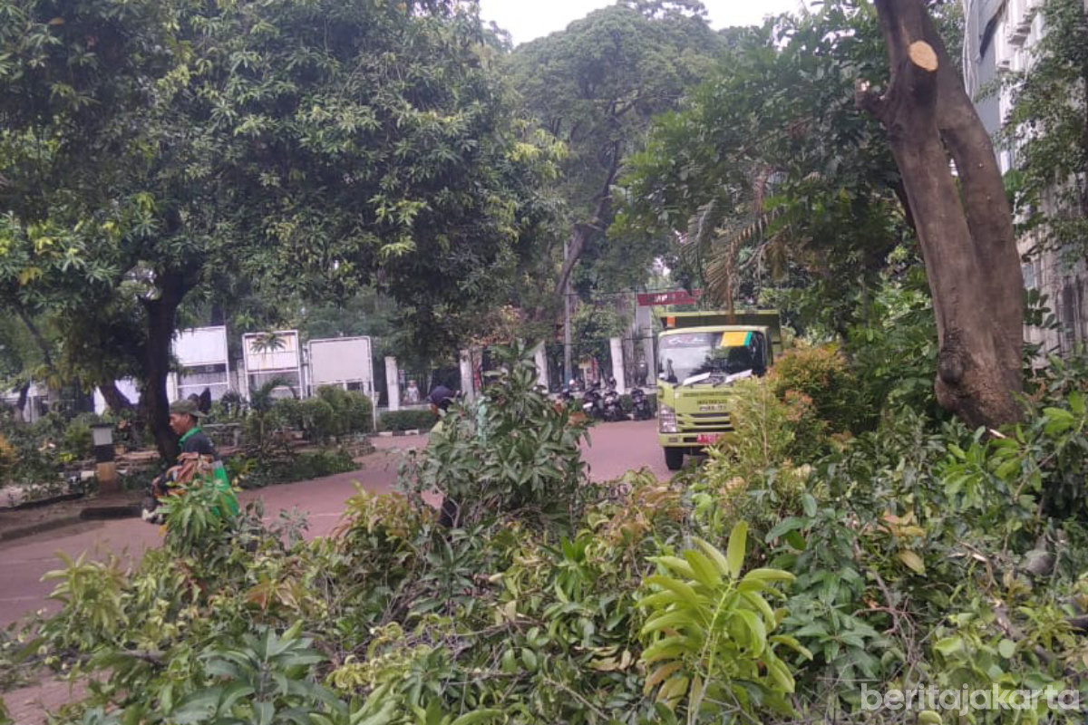 Pohon Ditoping di Area Enam Venue di Jaktim 