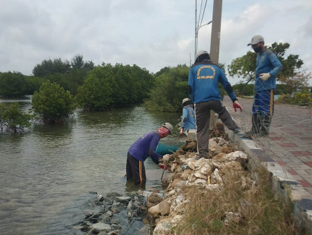 Sudin SDA Buat Bronjong Penguat Tanggul Pembatas di Pulau Harapan