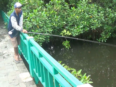Ekowisata Mangrove, Rekreasi Hijau dan Asri di Pesisir Utara Jakarta