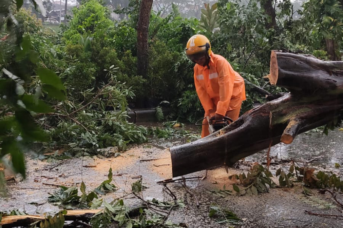 Petugas memotong dahan pohon yang tumbang di Jakarta Timur