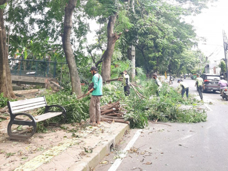 19 Pohon Ditoping di Jakbar Sudin Pertamanan dan Hutan Kota