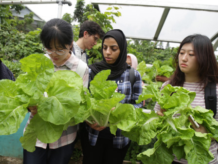 Puluhan Mahasiswa AIESEC Kunjungi Percontohan Urban Farming di Cempaka Putih Timur