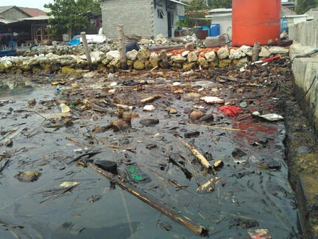 Perairan Pulau Panggang Tercemar Limbah Minyak 