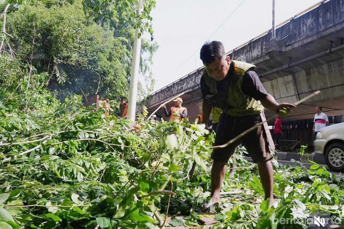 Pemangkasan pohon Jalur Hijau Jalan Daan Mogot
