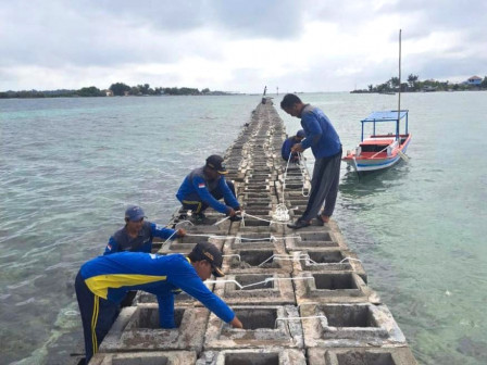 Sudin SDA Kepulauan Seribu Lakukan Pemeliharaan Breakwater di Pulau Kelapa