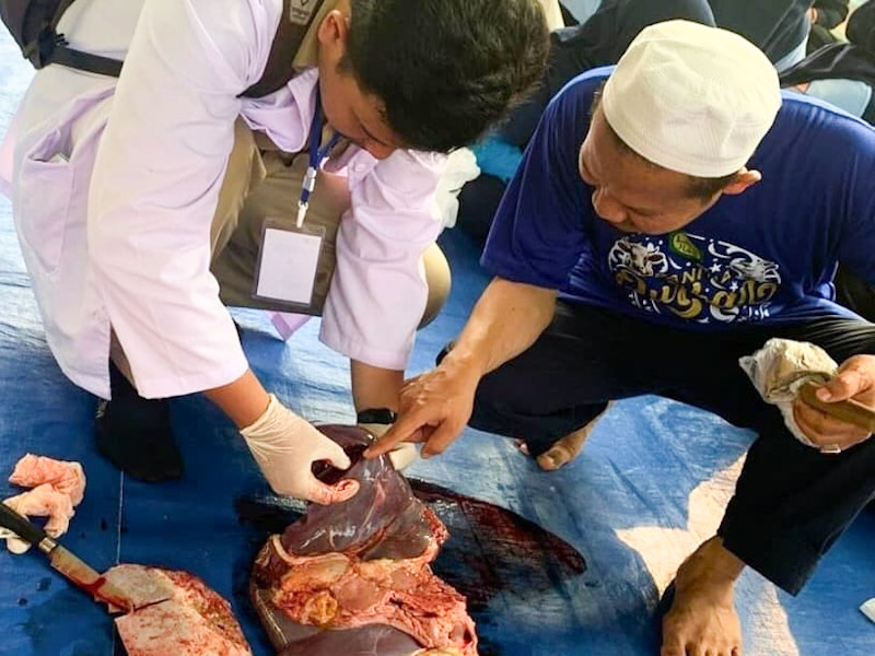 Sudin KPKP Jakbar Musnahkan 180 Kilogram Organ Hewan Kurban Tidak Layak 